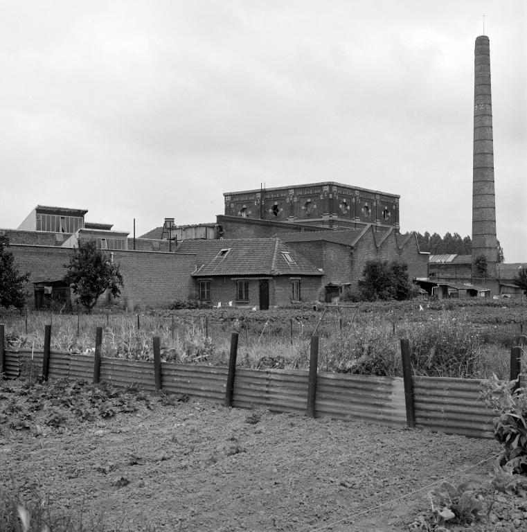 Vue générale vers l'ouest depuis les jardins ouvriers.
