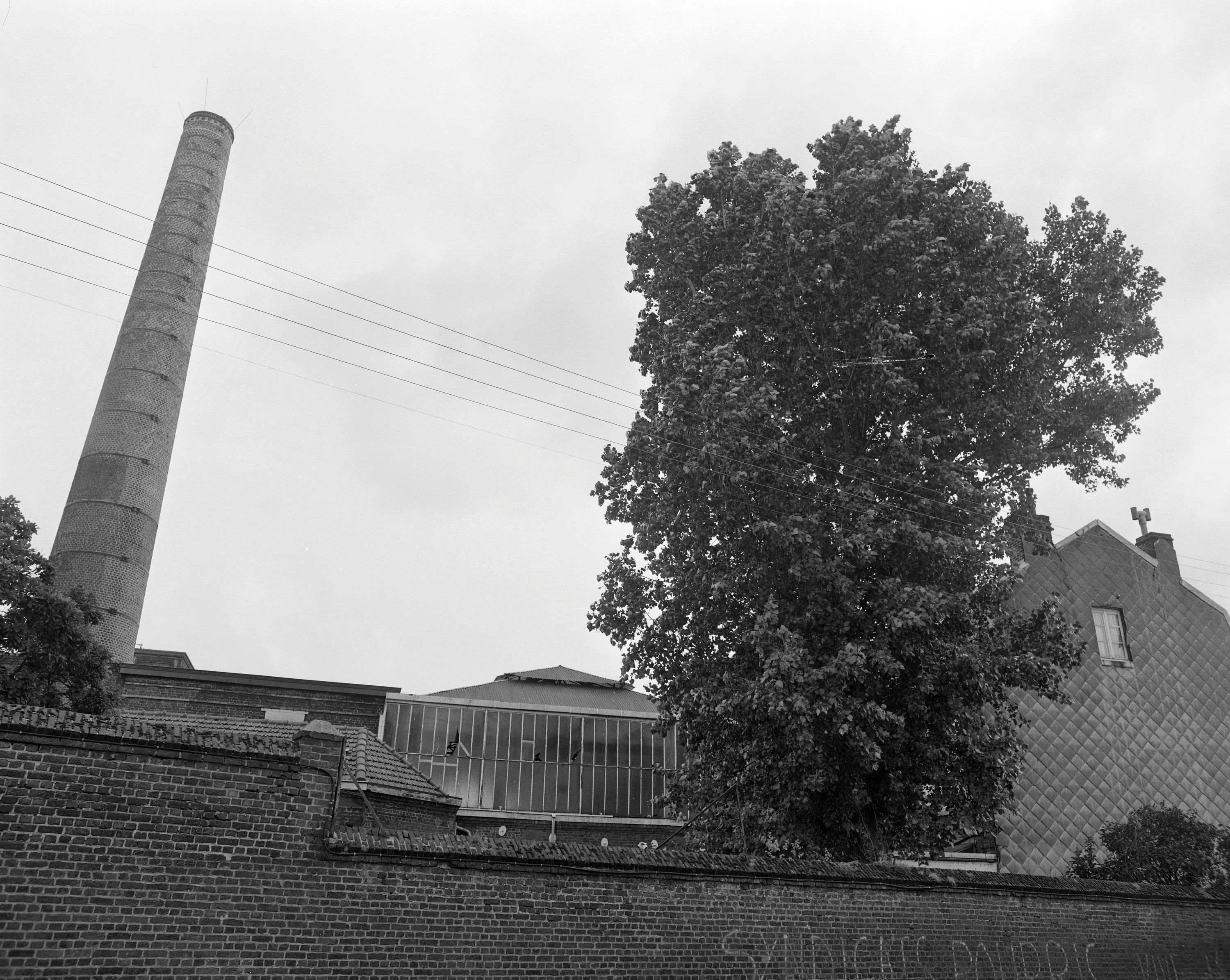 Cheminée, verrière. Vue prise vers l'est depuis la rue Pierre-Brossolette.