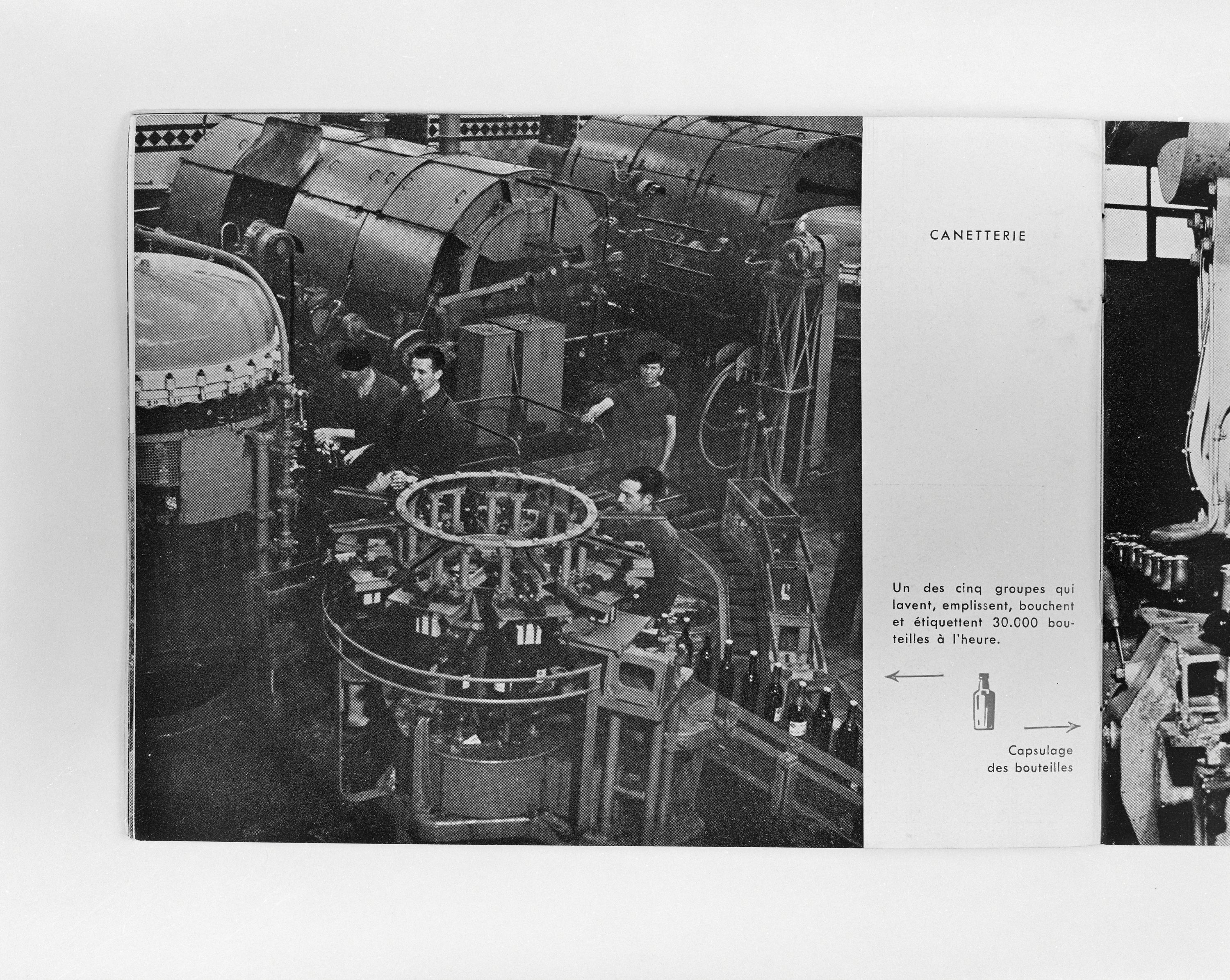 Page 13, canetterie. Brasserie Motte Cordonnier, plaquette éditée à l'occasion du tricentenaire, Paris, 1951 (coll. part.).