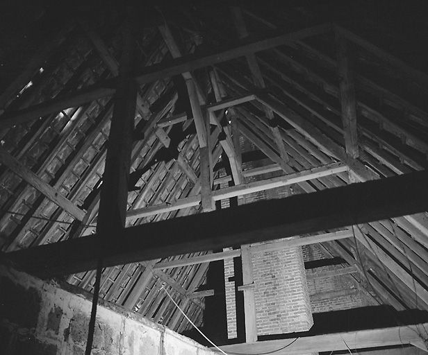 Intérieur, étage de comble : charpente, vue longitudinale vers l'est.