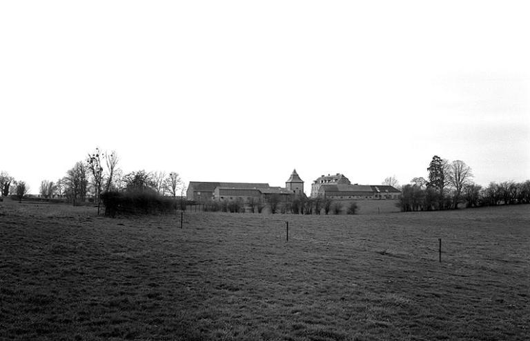 Vue générale du milieu d'implantation du château.