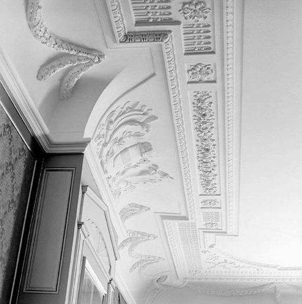 Détail : vue en enfilade du décor de plafond et corniche.