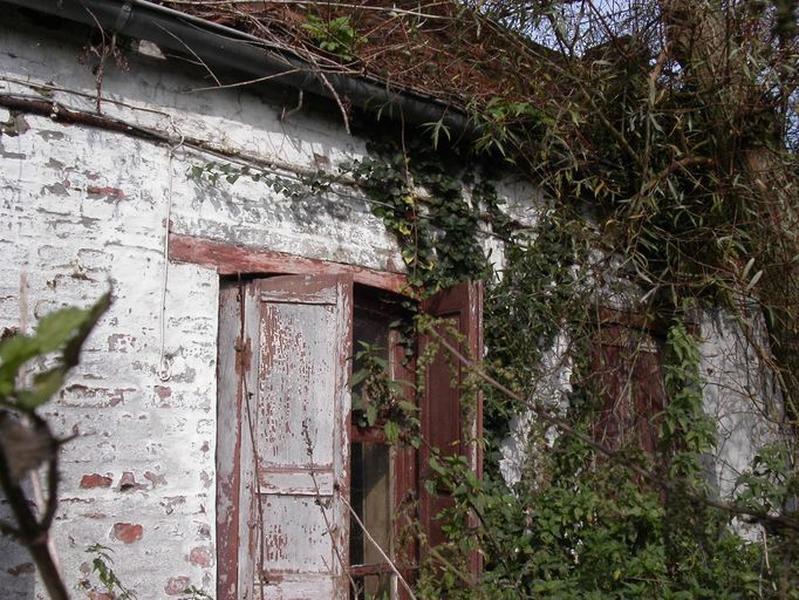 Logis situé 641, rue de la Pulmez, vue depuis la rue : linteau de fenêtre en bois (avec cintre), détail du logis (à l'abandon).