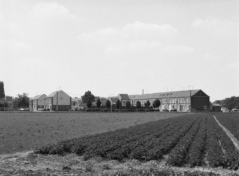 Vue générale des champs.