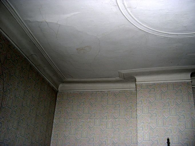 Intérieur, rez-de-chaussée, pièce nord-ouest : plafond, vue partielle.
