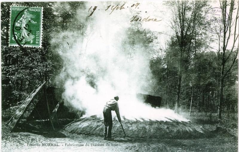 Fabrication du charbon de bois en forêt de Mormal au début du 20e siècle.