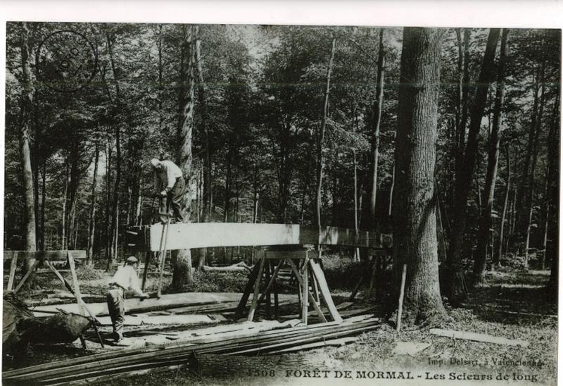 Les scieurs de long en forêt de Mormal au début du 20e siècle.