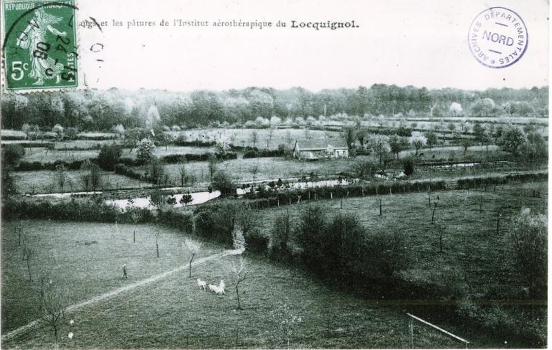 Les étangs et les pâtures de l'institut aérothérapique au début du 20e siècle.