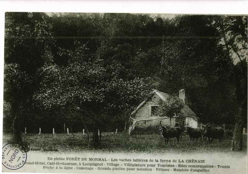 Vue des vergers et des vaches laitières de la Chênaie.