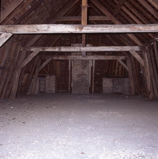 Corps de logis médiéval, intérieur, étage de comble : vue générale, charpente. 