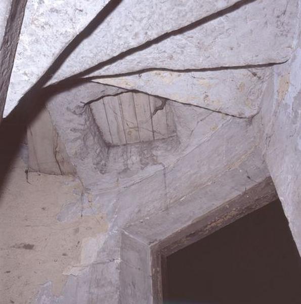 Corps de logis médiéval, intérieur, tourelle d'escalier (ouest), fin de la montée entre le 1er et le 2e étage : 2e trappe fermant la trémie.