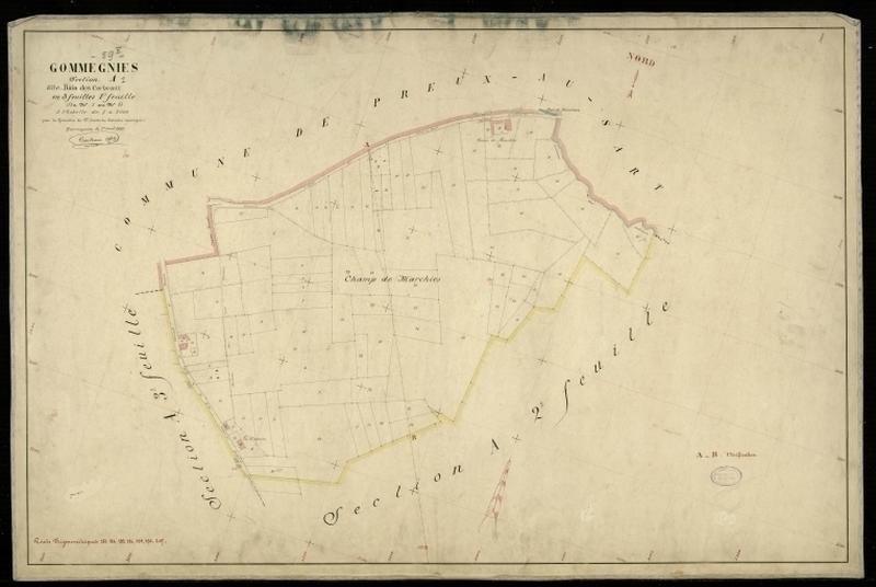Vue générale de la feuille cadastrale de la section A1 dite du Bain aux Corbeaux de 1897.