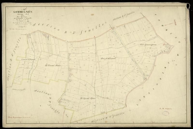Vue générale de la feuille cadastrale de la section D1 dite des Hameaux de 1897.