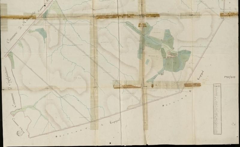 Vue générale de la feuille cadastrale de la section D2 de 1805.