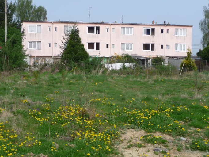 Groupe de six logements. Vue postérieure, côté jardin.