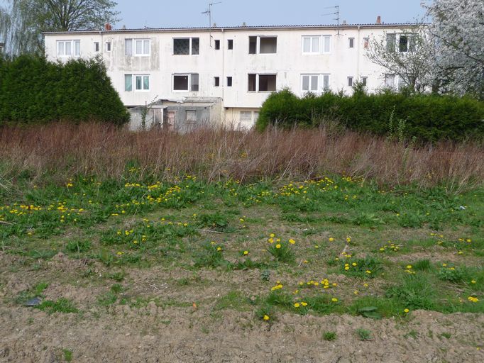 Vue générale d'un groupe de six logements.