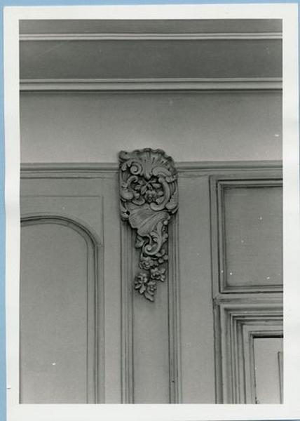 Vue de détail : coquille (phot. Wintrebert, 1977, fonds AOA62)