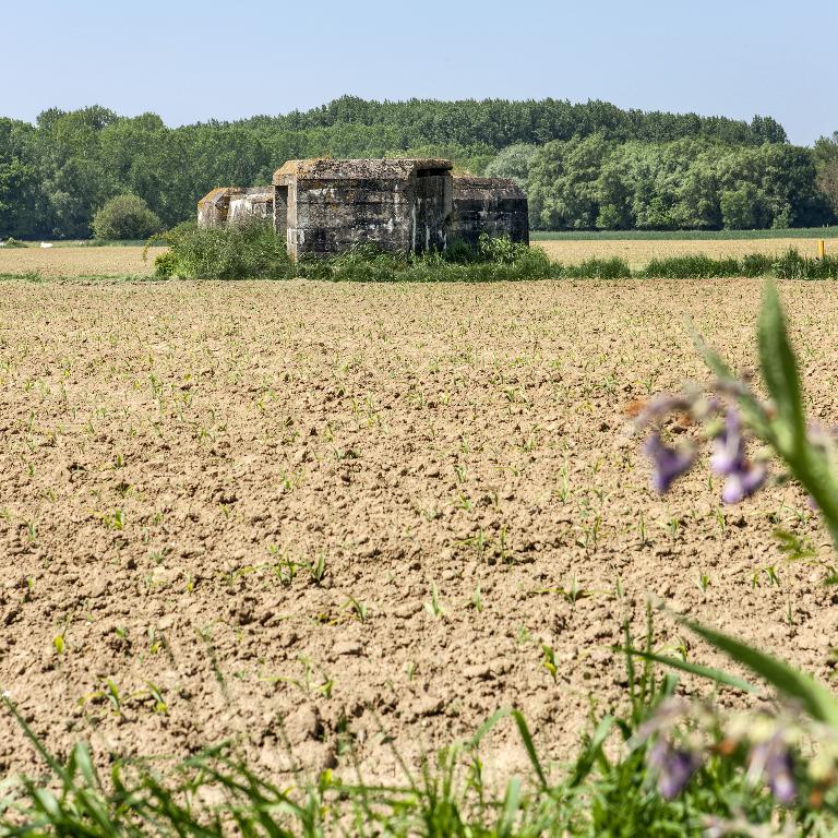 Vue générale, vers l'ouest