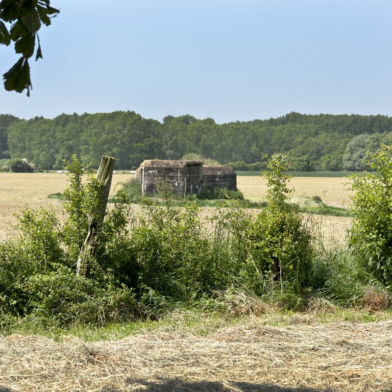 Vue générale, vers l'ouest