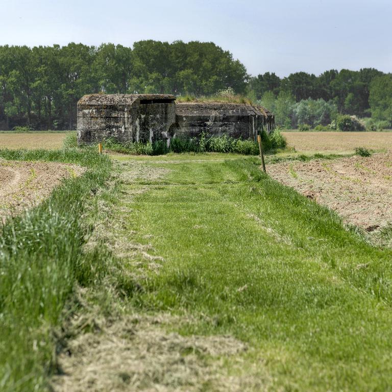 Vue générale, vers l'ouest