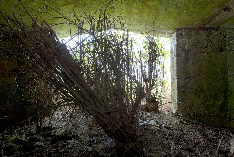 La chambre de tir, vers l'est