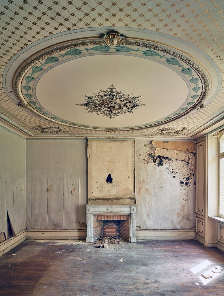 Logis patronal : salon : vue générale du décor du plafond.