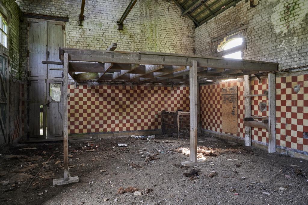 Vue générale intérieure de l'abattoir.