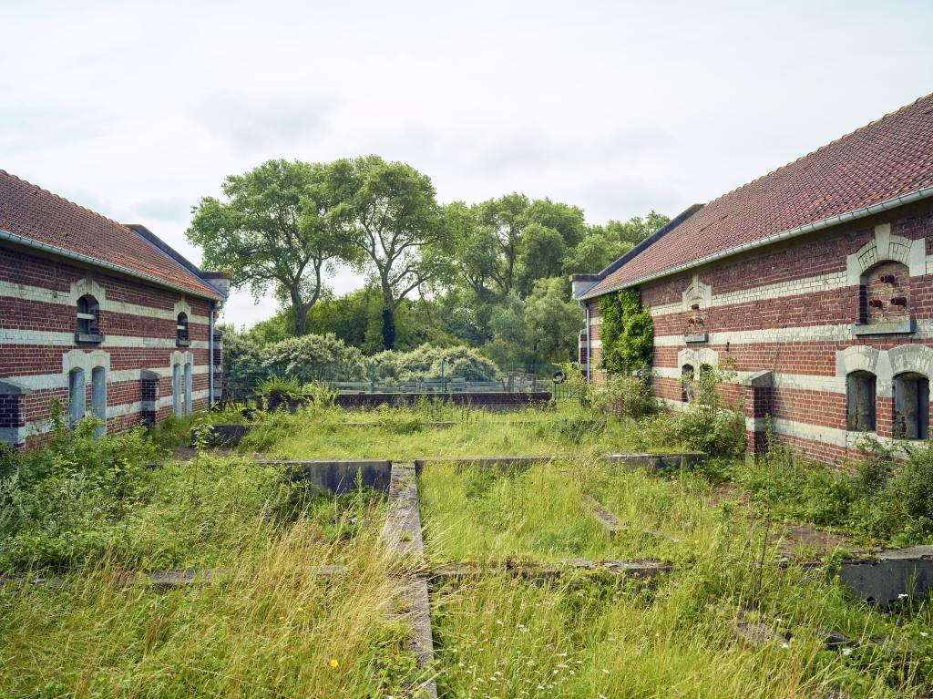 Enclos à porcs et à moutons aménagés entre deux bâtiments.