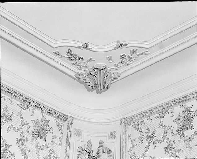 Corps principal, pièce 3 du rez de chaussée ; plafond, décor d'un angle