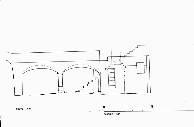 Cave : coupe longitudinale.