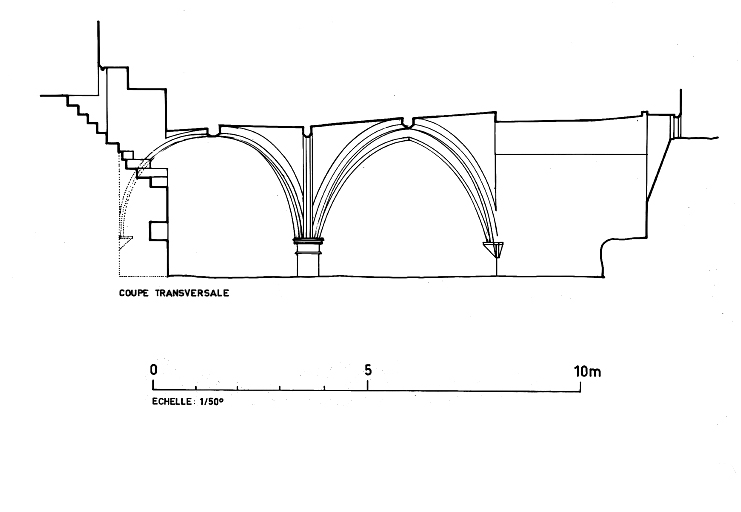 Cave : coupe transversale.