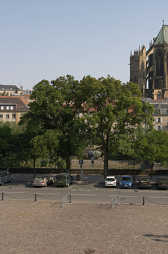 Déroulé de la vue de la ville depuis les fenêtres de la préfecture. 4e vue : la place de la Préfecture, au fond le chevet de la cathédrale Saint-Etienne.