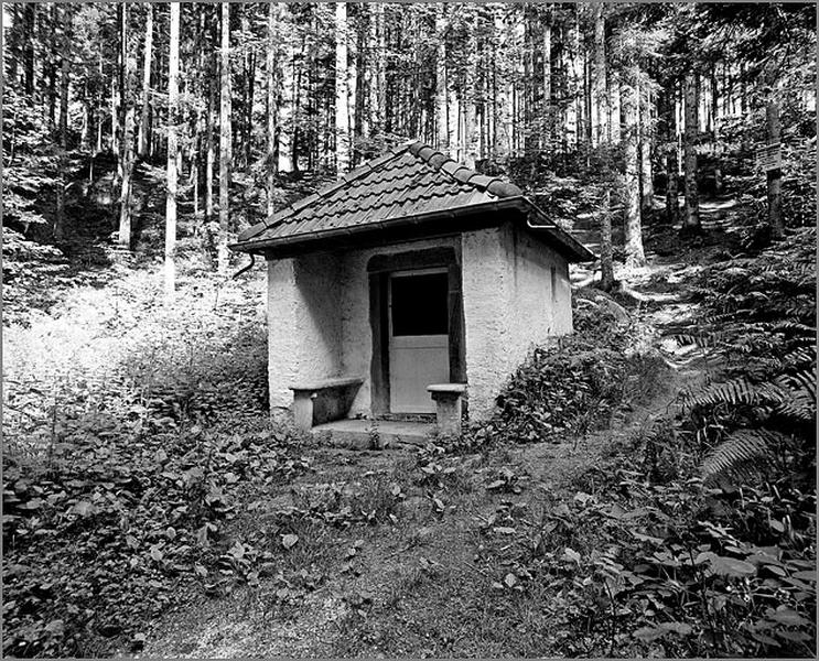 Provenchères-sur-Fave, Bois-de-la-Ville, chapelle Saint-Nicolas.
