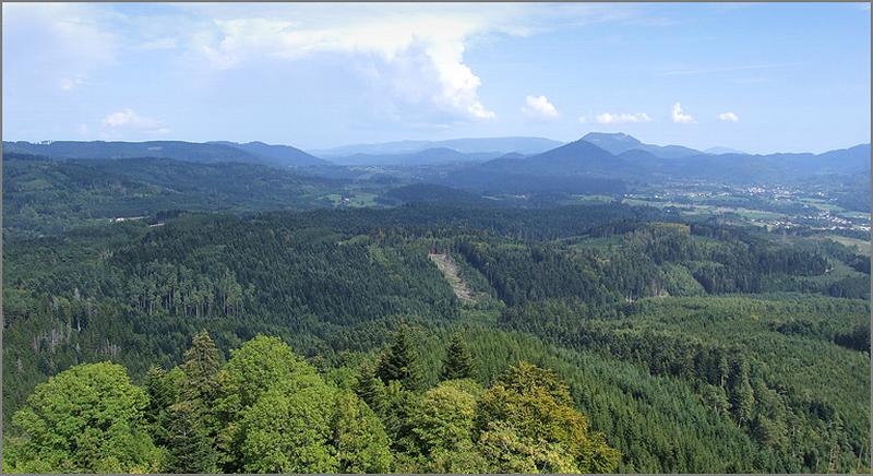 Vue de la partie nord du canton depuis le Spitzemberg.