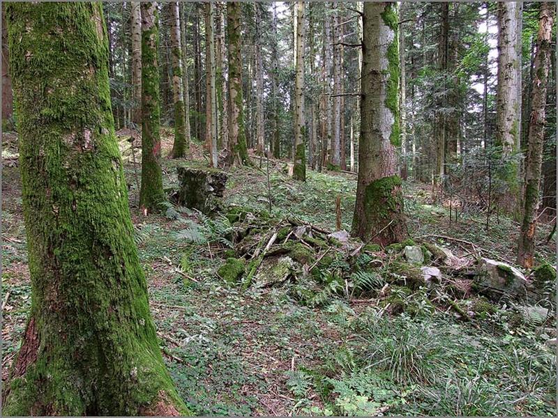 Vestiges du mur d'enceinte du cimetière.