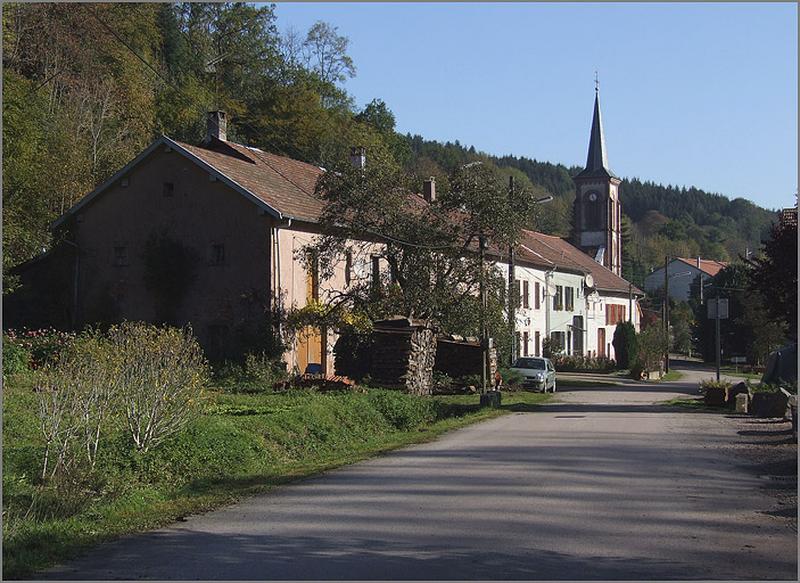 Vue générale de l'ilôt.