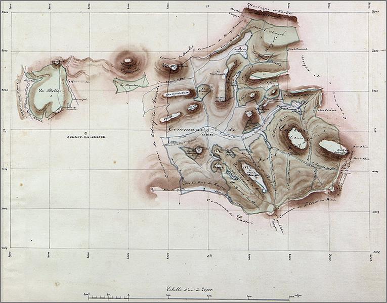 Plan général des forêts royales de Colroy et Lubine, cartographie de l'ensemble. Détail.