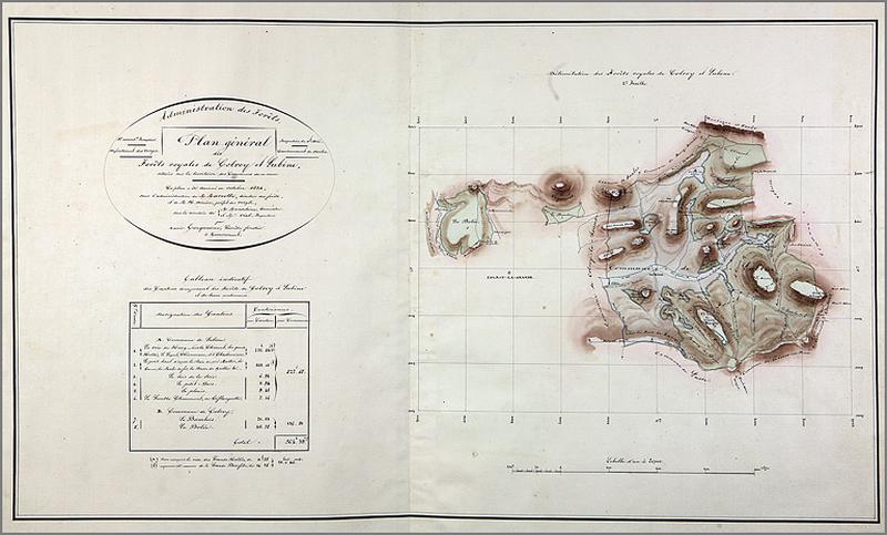 Plan général des forêts royales de Colroy et Lubine, cartographie de l'ensemble.