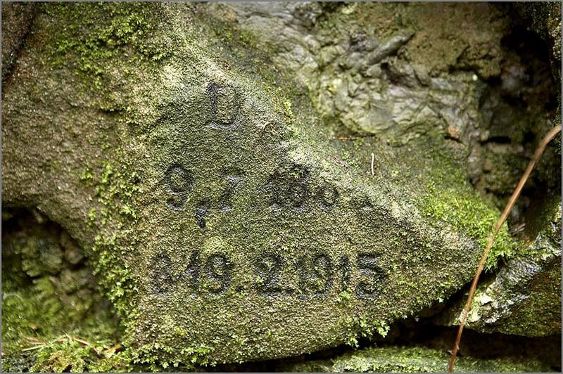 Vestige de cimetière militaire. Mur d'enceinte, détail 1 : pierre gravée