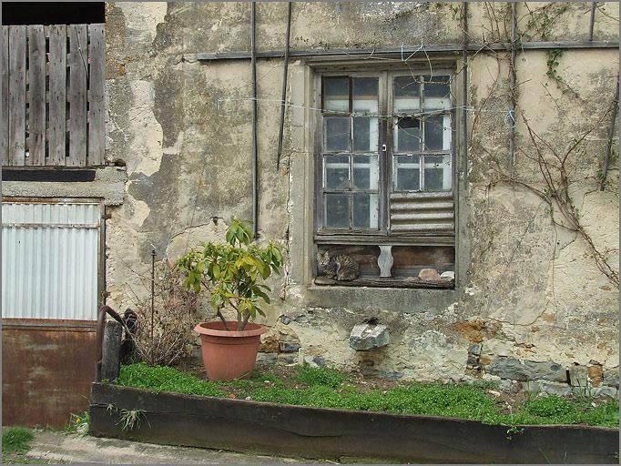 Ferme, élévation postérieure, fenêtre de la cuisine, ensemble face.
