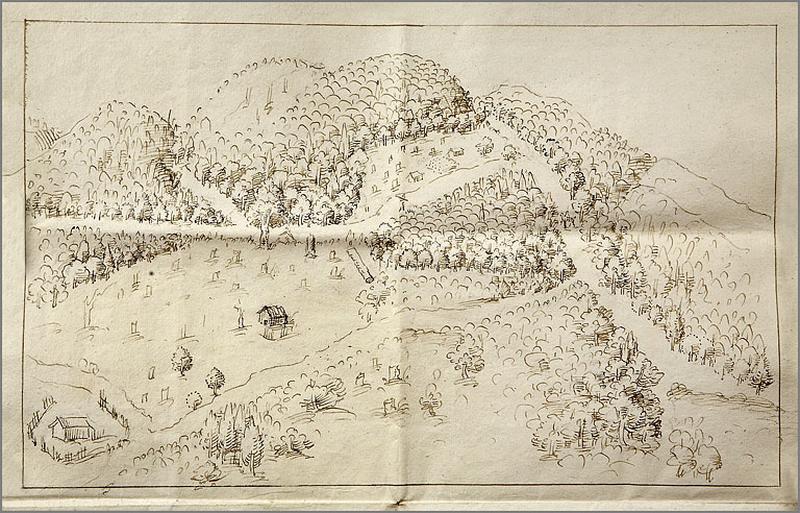 Dessin de la forêt du Climont.