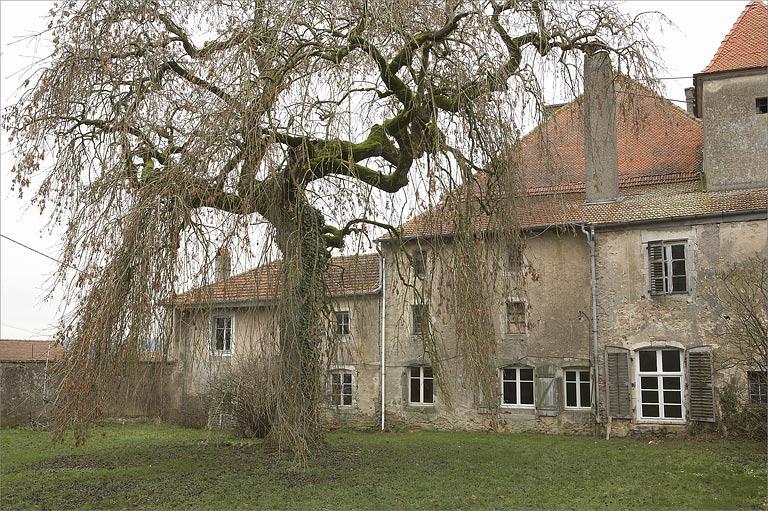 Elévation latérale ouest, trois quarts droit.