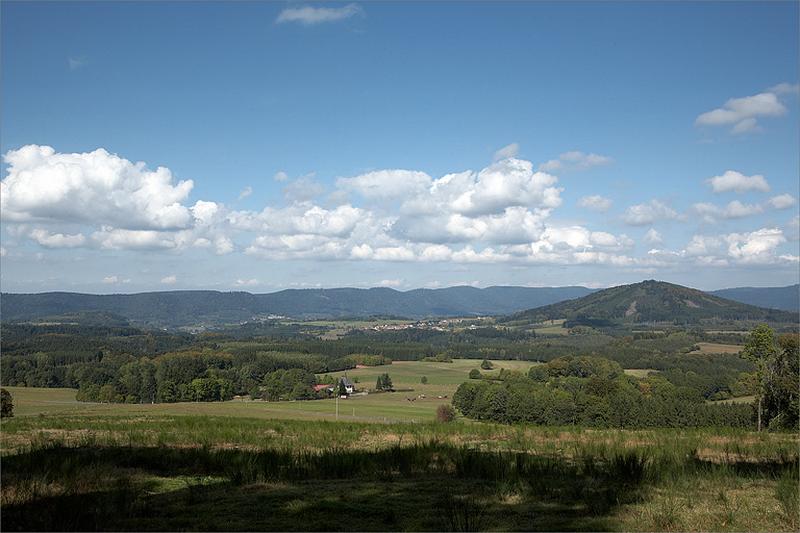 Vue en direction de la Croisette depuis le site.