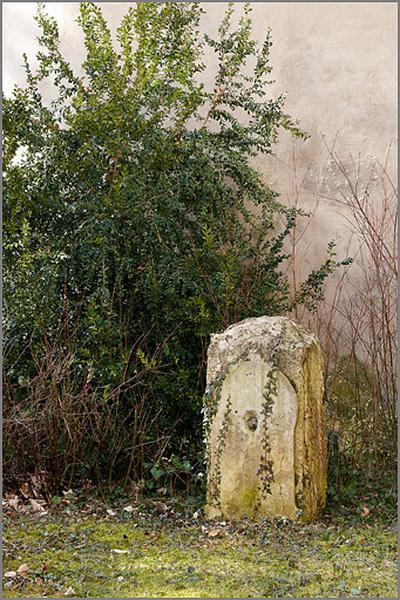 Jardin, détail d'une ancienne fontaine.