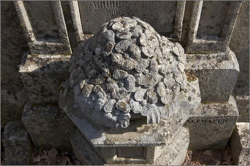 Socle : détail