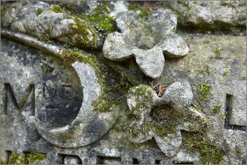 Détail