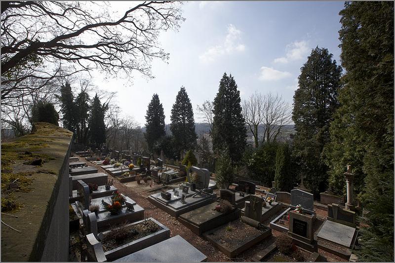 Vue d'ensemble de la section 8