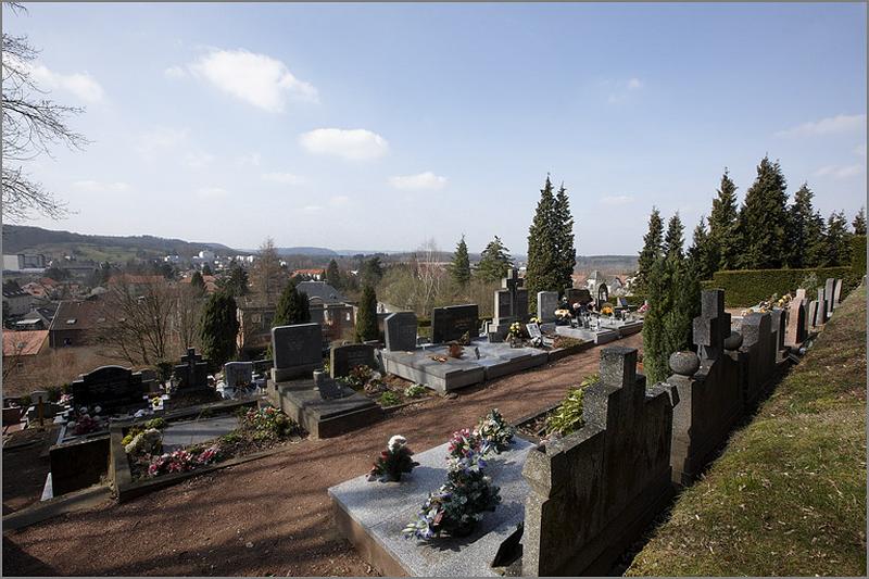 Vue d'ensemble de la section 3