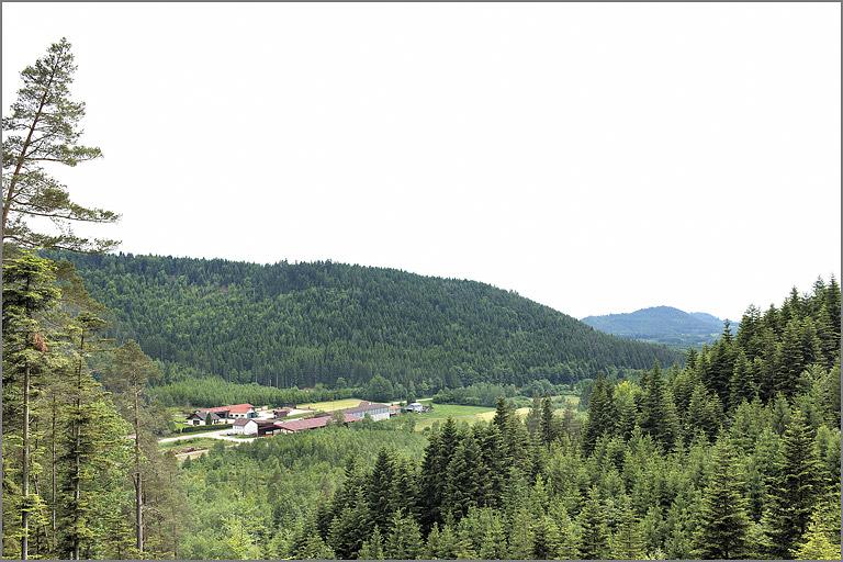 Vue générale de la vallée depuis les Grands-Traineaux