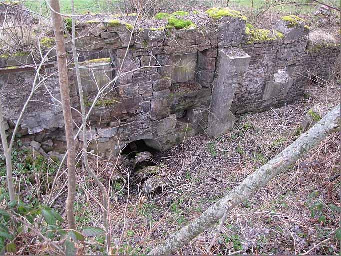 Vestiges de scierie Jeancolas, vue coté halle.